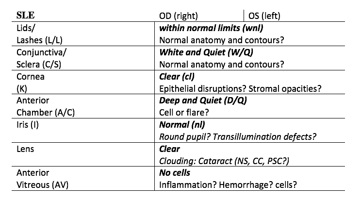 preparing for your first ophthalmology rotation eyeguru